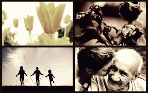 Courtesy of http://cjgoodreau.blogspot.com/2011/05/for-everything-there-is-season.html