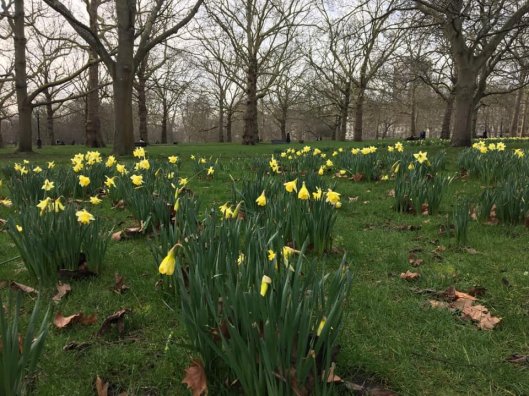 84540568_2896312937091614_6368332770682339328_n